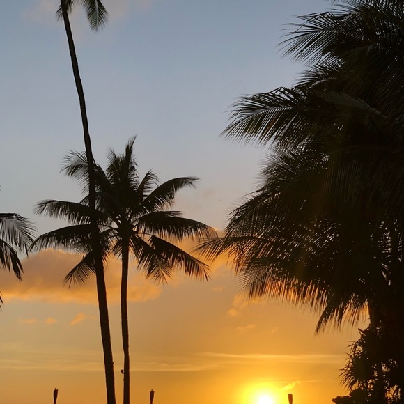 Meet your Posher, Ainslie - Picture 1 of 1